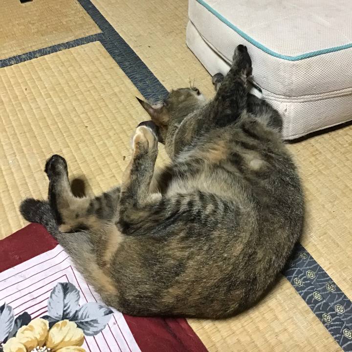 51b1695b 512b 4ad5 9910 6122f4938d10 1661250863543