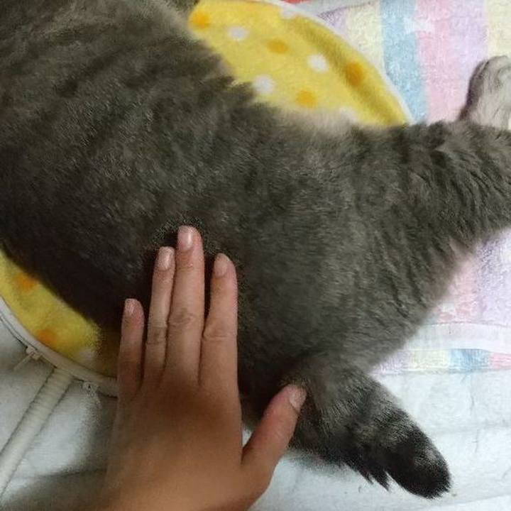 51b17cd1 5c82 4512 876c 68bd89a997b9 1664975895906