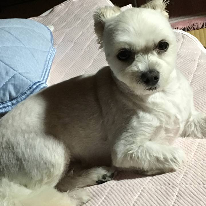 51b17fc2 9438 465d 8eea d2ee27cc7877 1533466765454