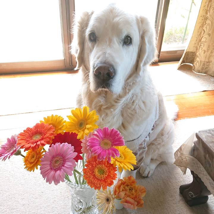 51b18494 289f 47c0 b6a9 494e9a276d76 1588489333673