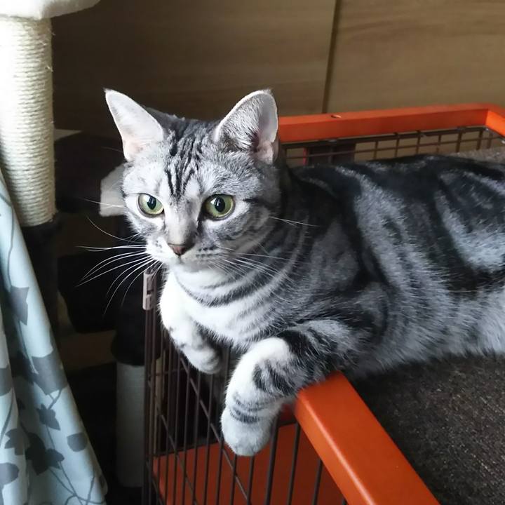 51b1943c bf9a 4177 9810 041e70b1b3e1 1576632137405