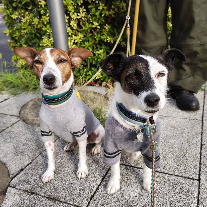 51b20e86 262f 4f3a aa73 66d424df8932 1724708917624