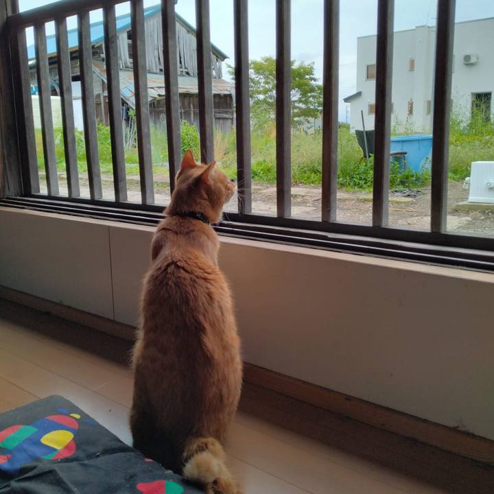 51b21073 a809 44c4 937c 0d9cd9e07295 1663833719907