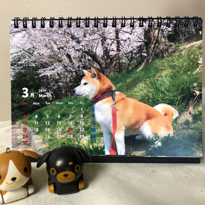 51b2288d 07d8 427e ace1 1e73d4e1d126 1551480739037