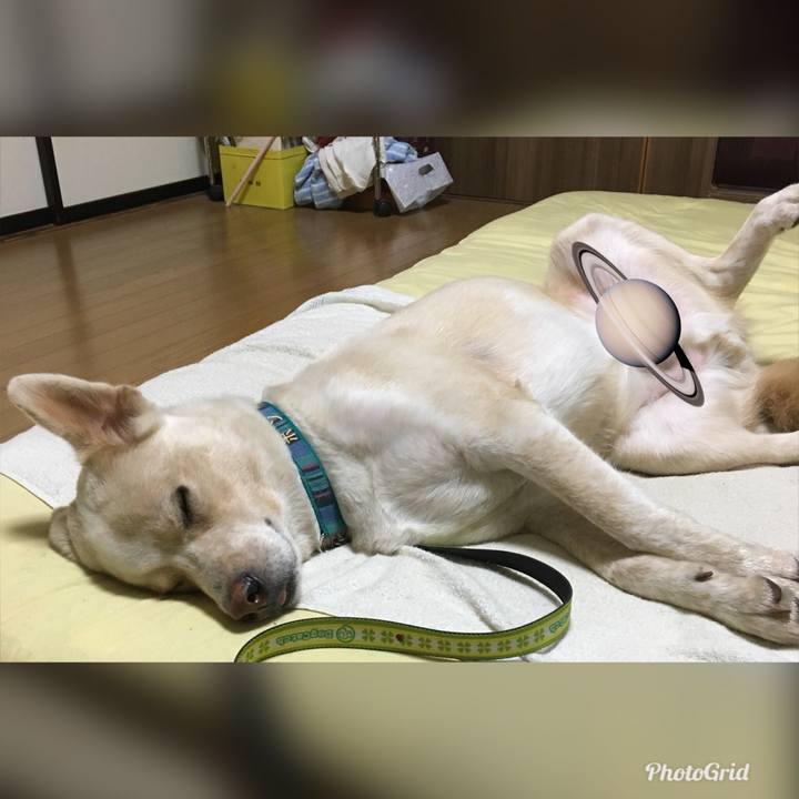 51b2858b c74f 4dd6 b688 44be31421651 1532185218379