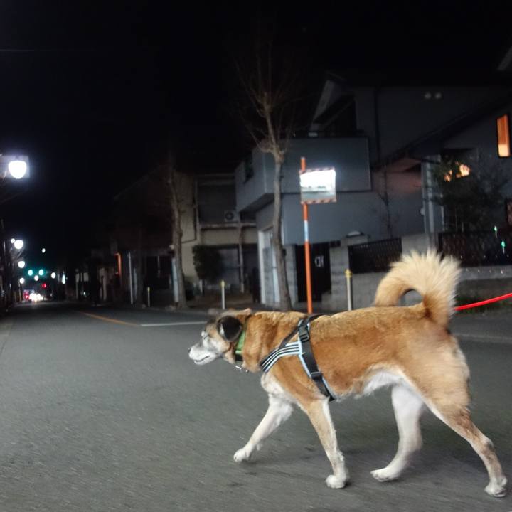 51b2a369 d9e6 42a5 b75d 4e5c50e36e3e 1658877221834