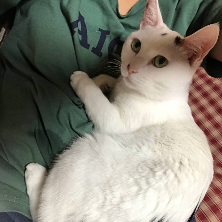 51b2b7a2 fa52 4d85 8a7a f86c319dff6a 1542443714827