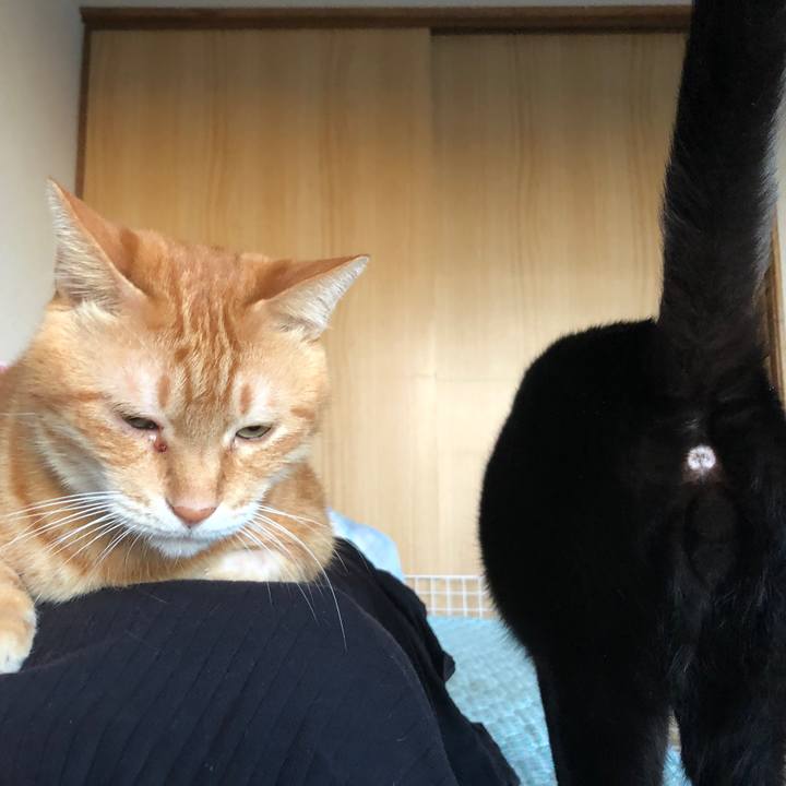 51b2da4f 66f1 43f7 9d5d 99527af7a4ee 1665608490038