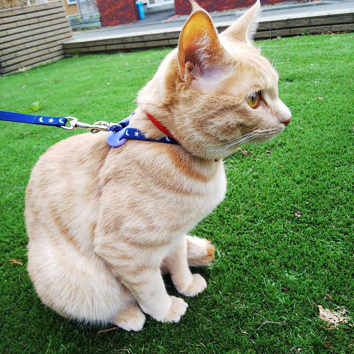 51b2e7a6 7f44 4d9d 9af2 6f4d101b5bae 1556867264531