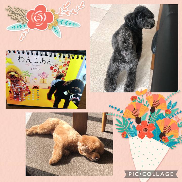 51b2f2ac 9d75 49be 84f6 2b2e87e81af2 1614577448925