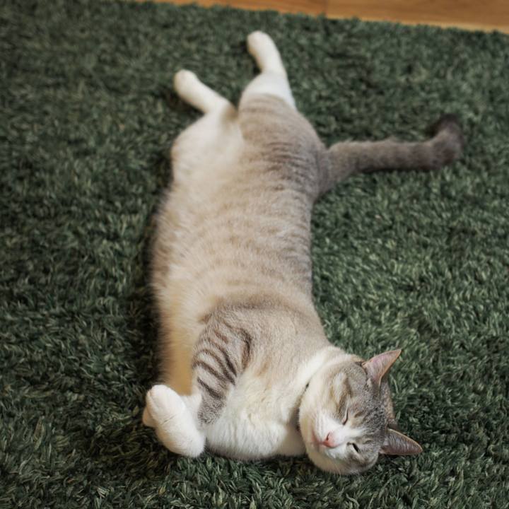 51b30769 a823 4a17 a270 7e457e764b12 1558323587334