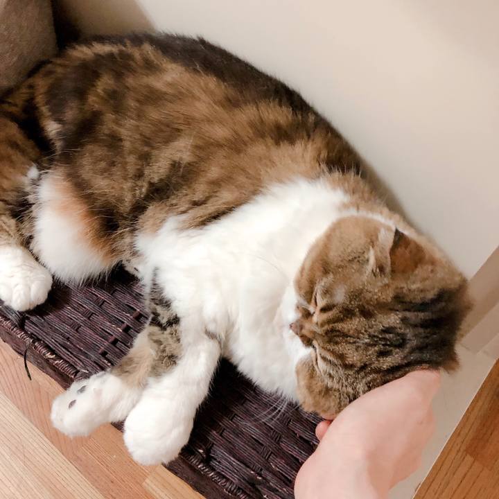 51b31aa5 27ac 41d0 8f40 57d47ca55aae 1561200991996