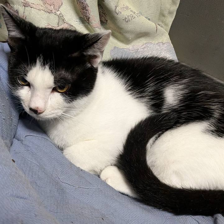 51b32cd9 1417 43dd b200 00540d42bc66 1731408542030