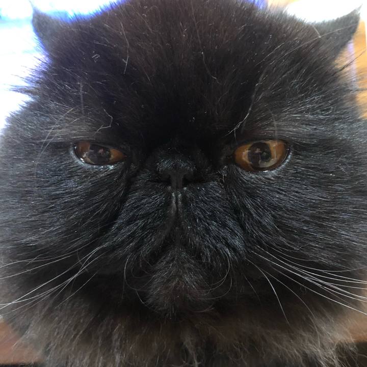 51b342b9 a8bc 42d6 b760 2ccb137ea419 1637232378578