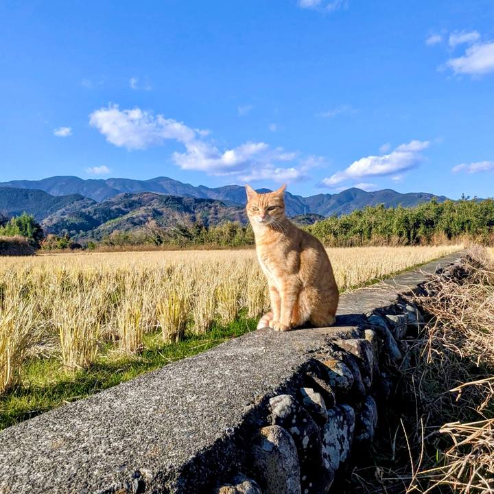 51b34a1e 98f4 4498 9ce0 ae585f57bff2 1767713679628