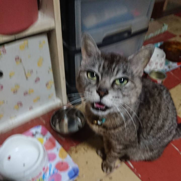 51b36872 d70a 4941 9d25 5fe80bc3b2e0 1564083817849