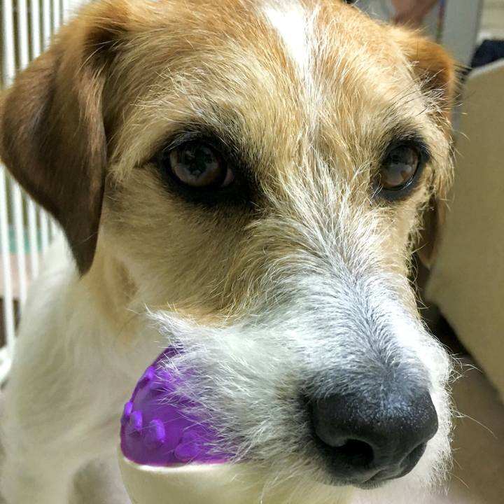 51b3b984 dd8e 4a81 b0c7 44f544b2e6af 1553174492971