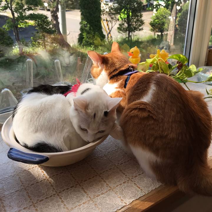 51b3c8fb 387e 4cbc 94d8 512f2e104651 1559342269943