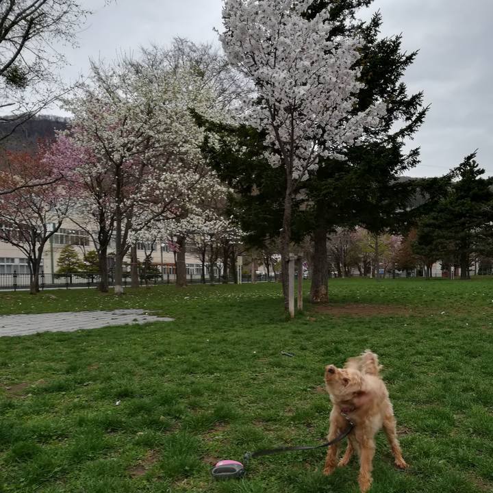 51b3ebfc 826d 4278 8289 c8de44053a70 1556665882607