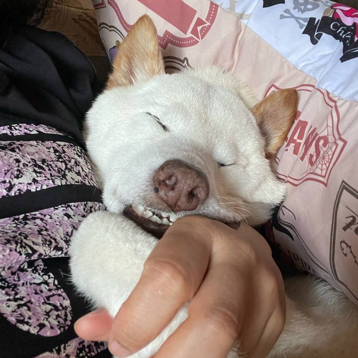 51b3ff9c d605 4c79 aa34 a2e5063beed5 1658560920339