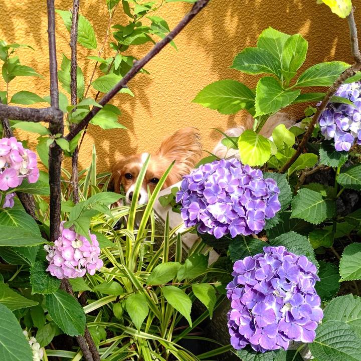 51b40338 caff 4321 a3bb 660a387edb85 1654411273156