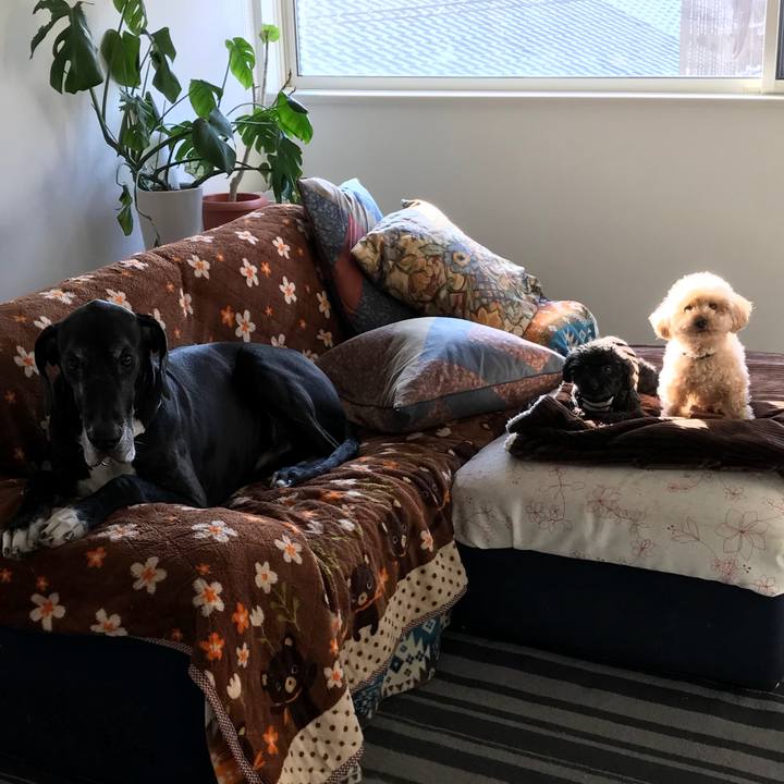 51b412af 705b 4315 9f7a fb3190e9d0af 1520807197359