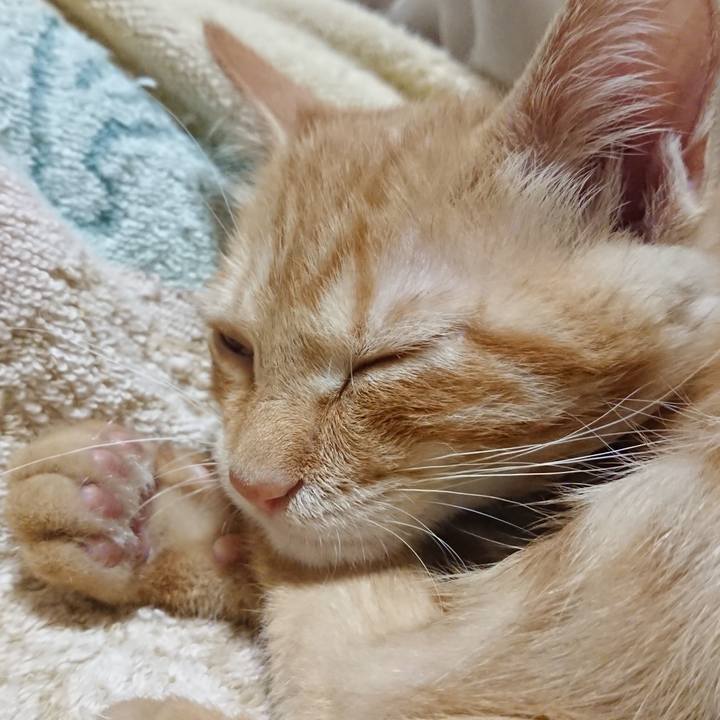 51b425eb 9cc8 46b7 89af 526f3943799c 1632573231428