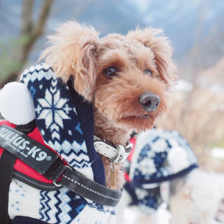 51b42b92 9ecc 4b3f 9001 f0dabf8c3ae5 1548888357870