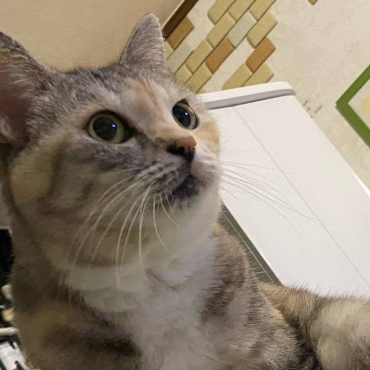 51b48706 2605 4b47 879e 18f2db6a4f6d 1662771682948