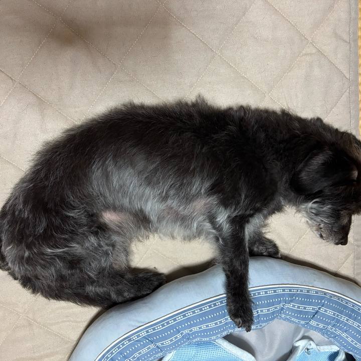 51b4a573 ffa9 4192 b770 b1f50997a6b8 1754656252405