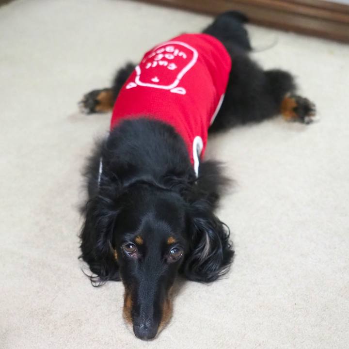 51b4cc56 aabc 4eef 8848 bc5c744ec949 1625895686754