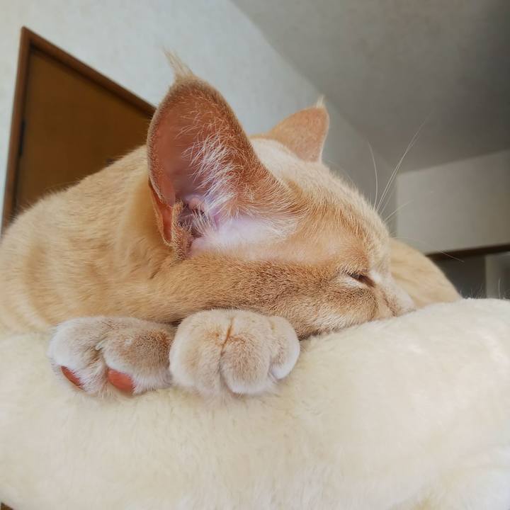 51b5009d 9c7f 40b6 9439 9e606cf970a2 1651289413317