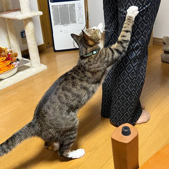 51b5011e 5422 42f2 bf21 e9b12305f4d6 1714299205205