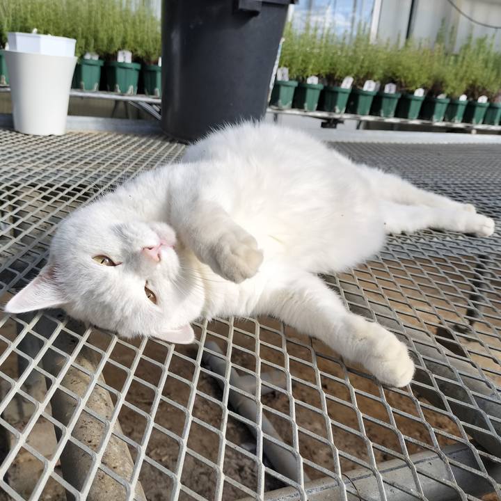 51b50962 9da8 44ae a237 f25066c53bfe 1762663458409