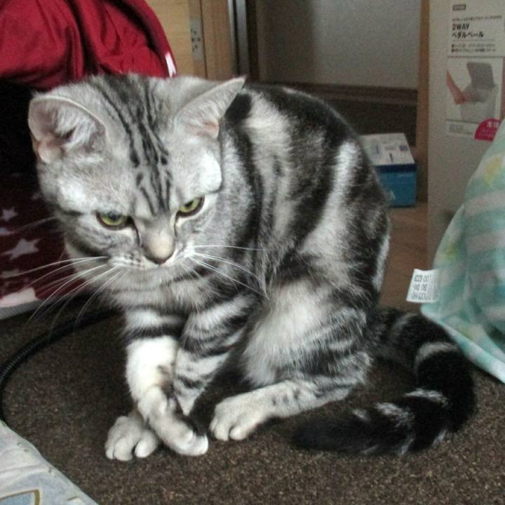 51b51581 9cbf 453c af19 557149739f93 1556625029449