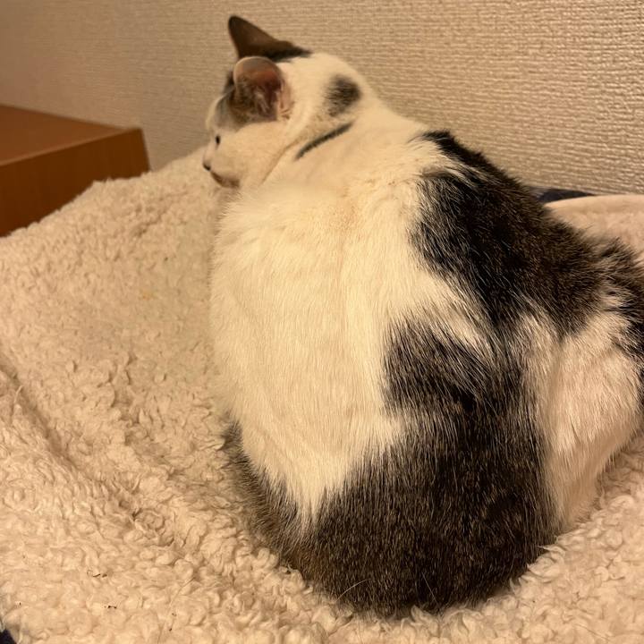 51b52c2a cc1b 4399 895e 5311a4267945 1676387307701