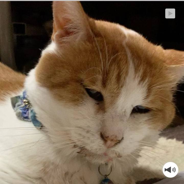 51b53ab6 61cb 43aa 9e08 906db65a9be2 1758271321040