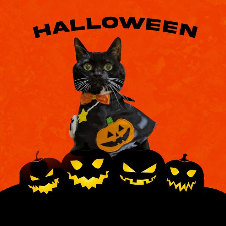 51b55911 4371 4a55 a83c d1e8bac53528 1761882170490