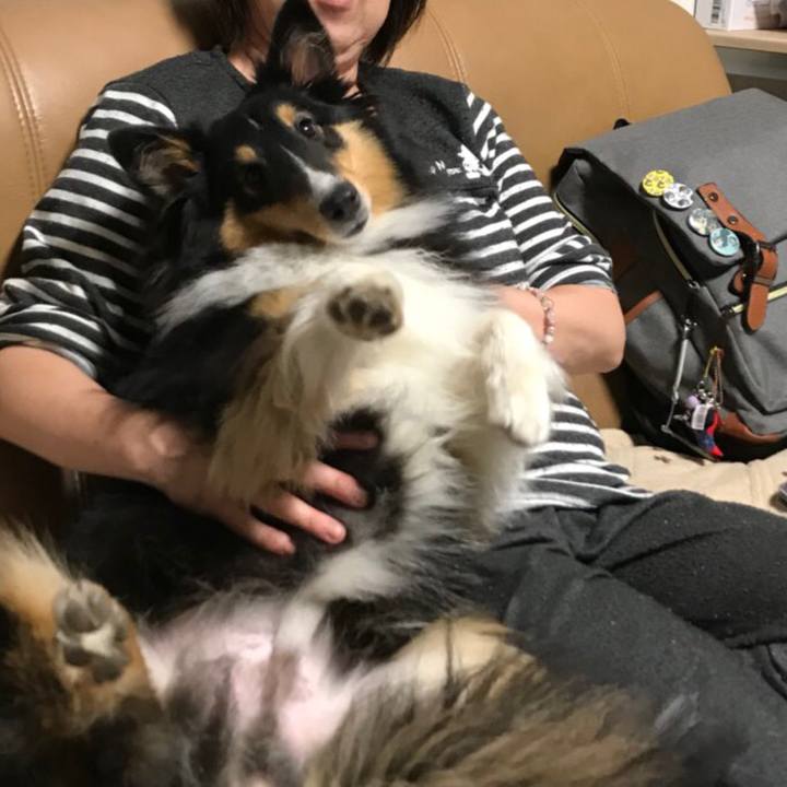 51b55f3f eebf 48db 829a e71b2aaf50f5 1529841939905