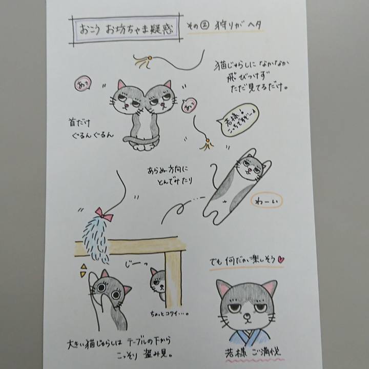 51b58418 9b66 494d aa54 8696eb40c3b3 1617409261048