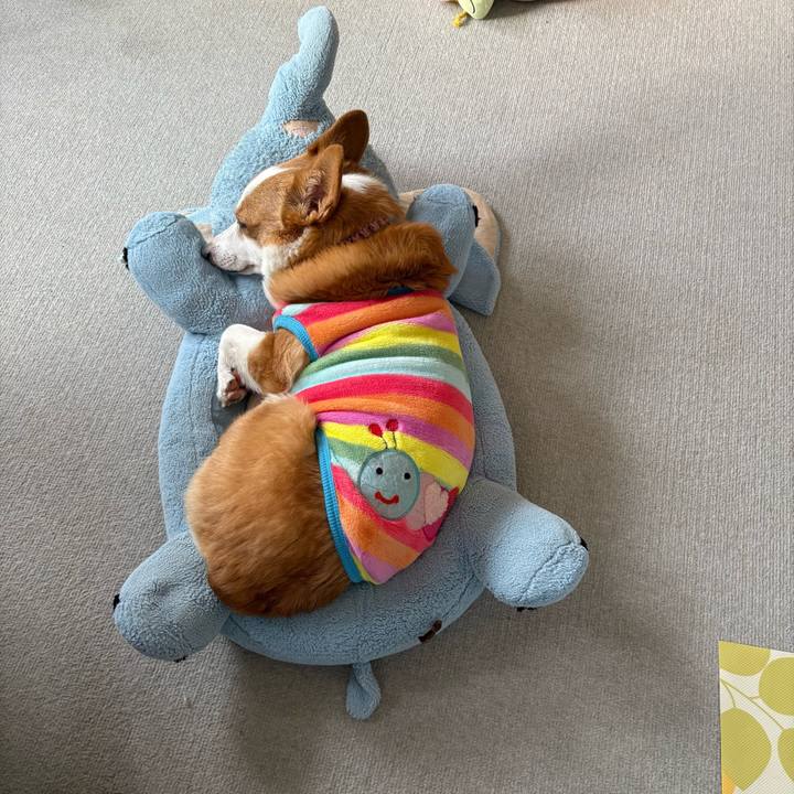 51b5afe1 fb9d 4ff6 aada 6c1c12934110 1773044834107