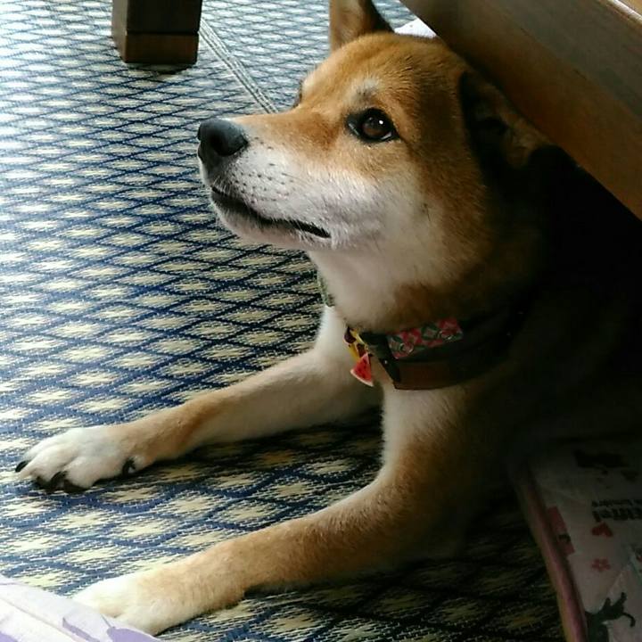 51b5c102 d0c6 40e3 a5c2 99ba41b1084d 1532581836096