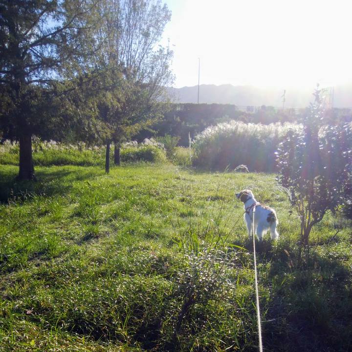 51b5f378 e532 41c6 8c6e c0afdb9ec482 1538958410226