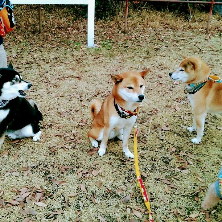 51b61ba9 872e 4448 bac7 a0f284f34e81 1576055889143