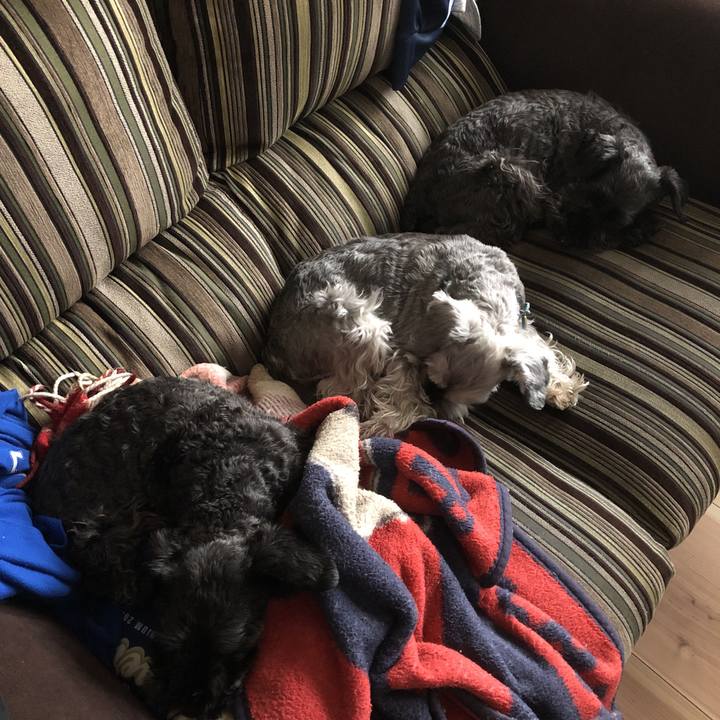 51b61dbf 4d9f 4fb6 972c c310a3900524 1586995952930