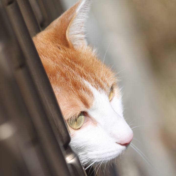 51b64fbc 82e2 4bab 8b83 a563ce8fc56c 1520398952555