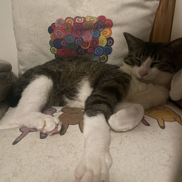 51b65903 a090 4d75 9653 8d0d77698a11 1746806221143