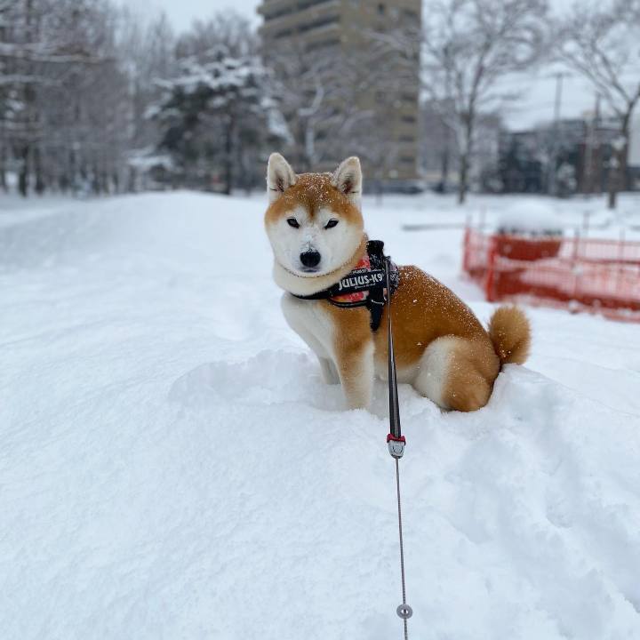 51b685e3 1c4b 452d 8d94 a1bca72f9189 1673855953965