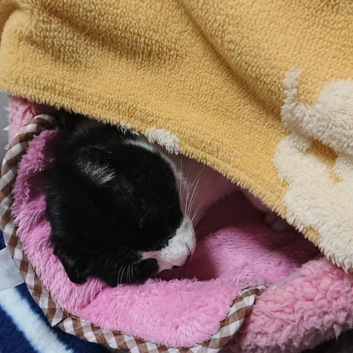 51b685e8 0cb5 473f b737 2fe993d45781 1543640442477