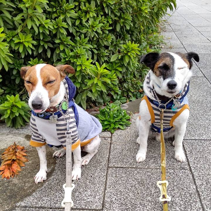 51b6bf29 2fad 4ffc 8ac0 39607b1baa26 1634340608306